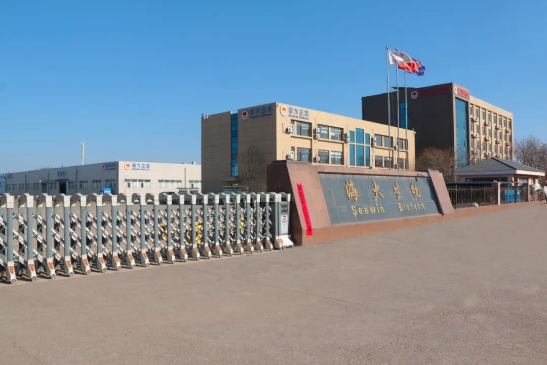 开云在线手机入口正月初八开门红