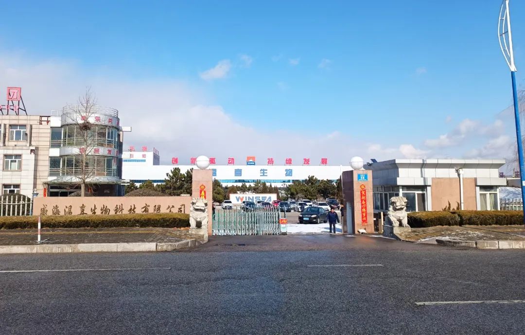 开云在线手机入口正月初八开门红