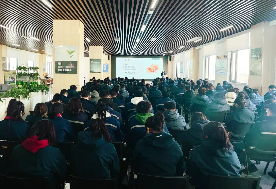 开云在线手机入口正月初八开门红