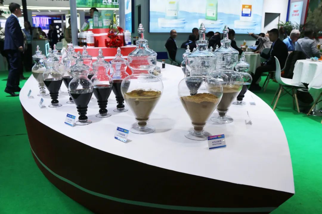 金牌赞助企业开云在线手机入口全新亮相上海CAC国际农化展,以科技实力献礼25周年